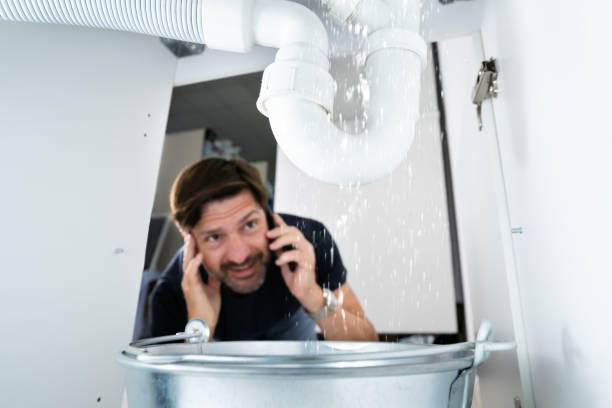 Best Leak Detection Services  in Pittsfield, IL