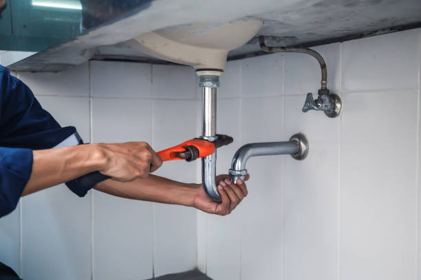Best Affordable Plumbing Services  in Pittsfield, IL