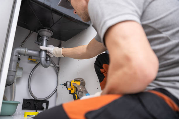 Best Plumbing Inspection Services  in Pittsfield, IL